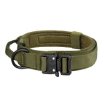 Collier Chien Militaire
