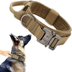 Collier Militaire Chien