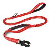 Laisse Chien Extensible