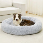 Petit Coussin pour Chien