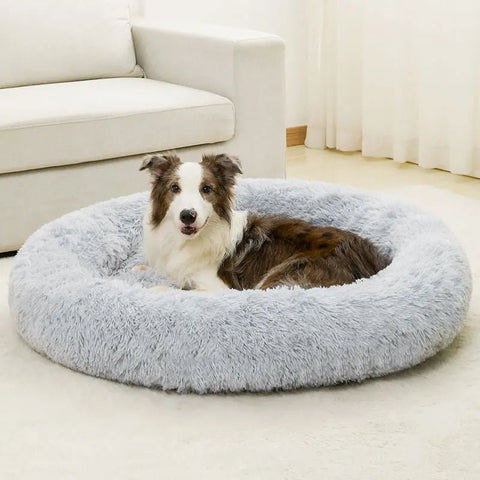 Petit Coussin pour Chien