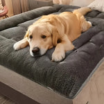 Coussin pour Chien XXL