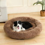 Petit Coussin pour Chien