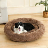 Petit Coussin pour Chien