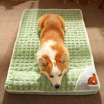 Coussin Hiver Chien