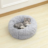 Petit Coussin pour Chien
