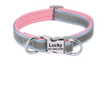 Collier Chien Réfléchissant
