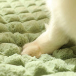 Coussin Hiver Chien