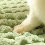 Coussin Hiver Chien