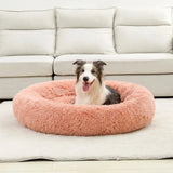 Petit Coussin pour Chien