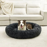 Petit Coussin pour Chien