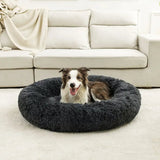 Petit Coussin pour Chien