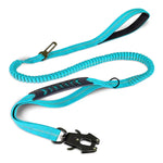 Laisse Chien Extensible