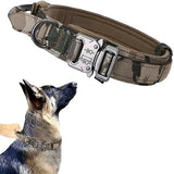 Collier Militaire Chien