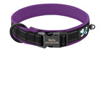 Collier Chien Réfléchissant
