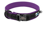 Collier Chien Réfléchissant