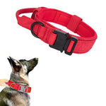 Collier Militaire Chien