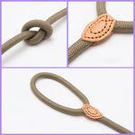 Laisse Collier Etrangleur pour Chien