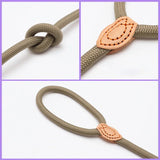 Laisse Collier Etrangleur pour Chien