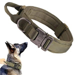 Collier Militaire Chien