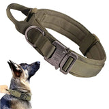 Collier Militaire Chien