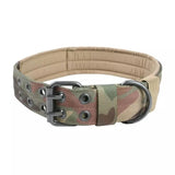 Collier Tactique Chien