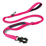 Laisse Chien Extensible