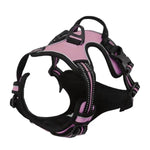 Collier Harnais Chien