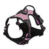 Collier Harnais Chien
