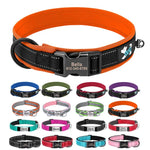 Collier Chien Réfléchissant