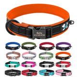 Collier Chien Réfléchissant