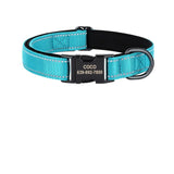 Collier Chien Réfléchissant