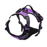 Collier Harnais Chien