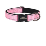 Collier Chien Réfléchissant
