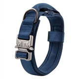 Collier Chien Tactique
