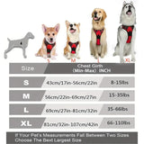 Collier Harnais Chien