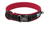 Collier Chien Réfléchissant