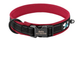 Collier Chien Réfléchissant
