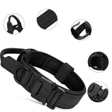Collier Chien Tactique