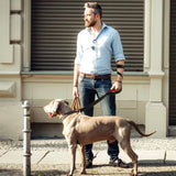 Laisse Deux Mains Chien