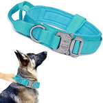 Collier Militaire Chien