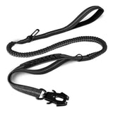 Laisse Chien Extensible