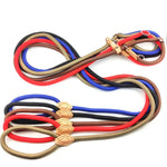 Laisse Collier Etrangleur pour Chien