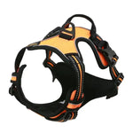 Collier Harnais Chien