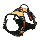 Collier Harnais Chien