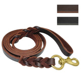 Laisse Cuir Chien