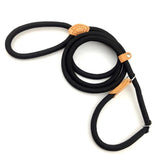 Laisse Collier Etrangleur pour Chien