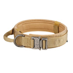 Collier Chien Militaire