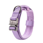 Collier Chien Tactique