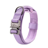 Collier Chien Tactique